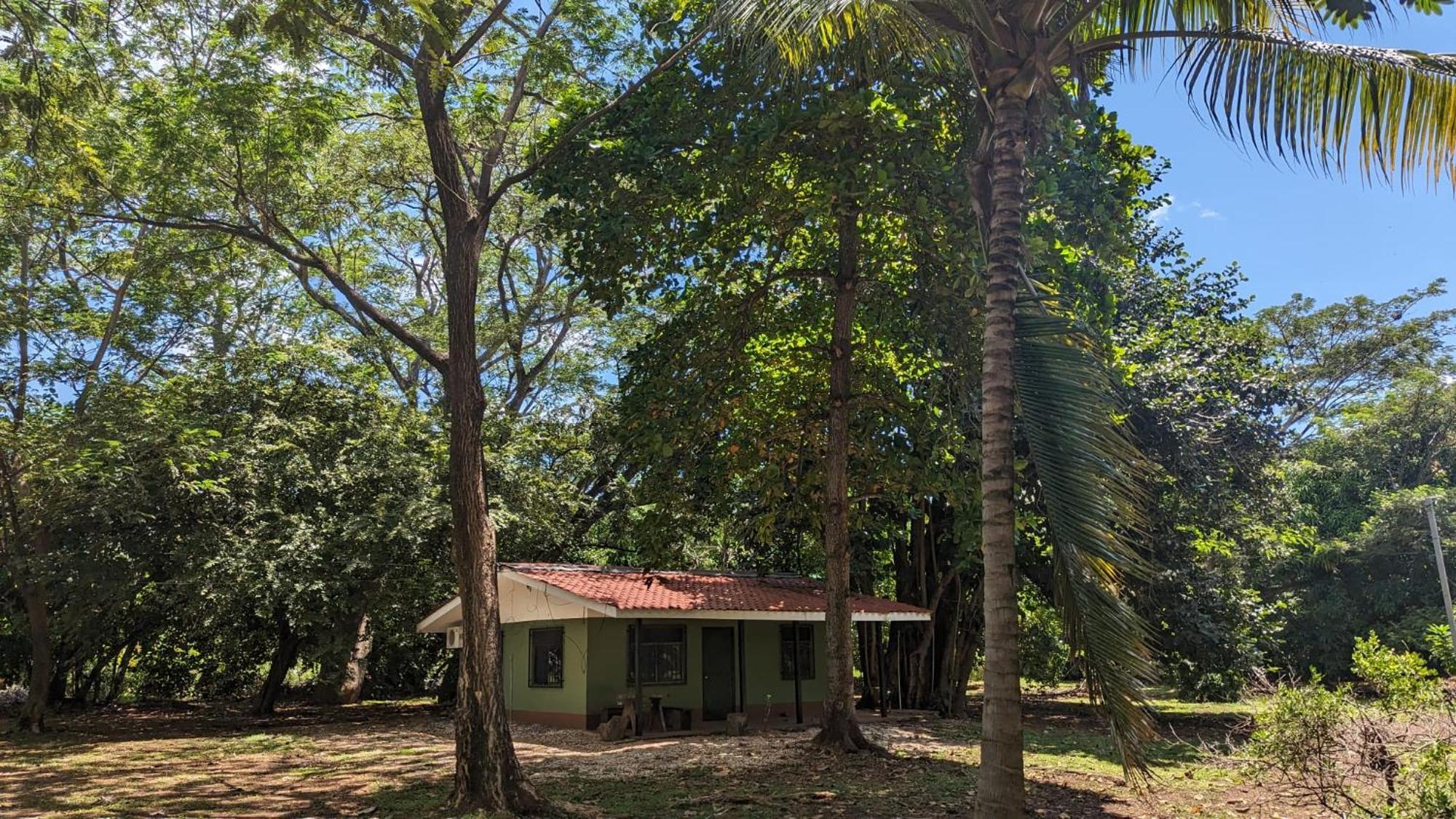 Iguana Street Houses Coco Exterior photo
